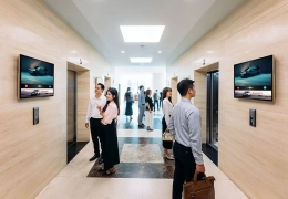 chicilon-mua-lai-co-phan-quyèn-chọn-nam-2015-voi-gia-gap-10-lan